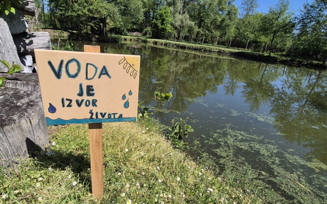 Dan planeta Zemlje – Hodanjem do zdravlja