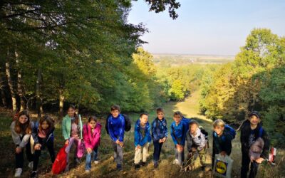 Terenska nastava – mali istraživači u prirodi